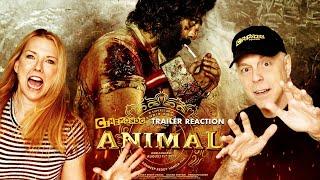 Animal Pre-Teaser Reaction! Hindi | Ranbir Kapoor | Sandeep Reddy Vanga!