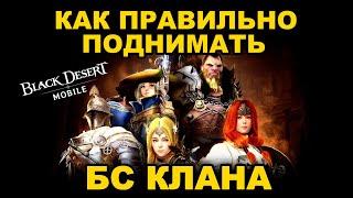 BDM: Как разогнать БС Клана проще и дешевле. 9 способов в Black Desert Mobile