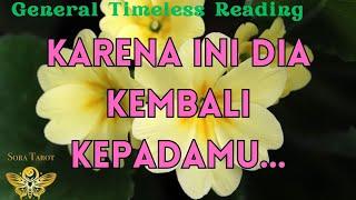 KEMBALI KE KAMU