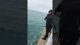 Hamdi TRUMA - Bluefin Tuna -58kg SHORE FISHING (Live bait) (18.11.2018)