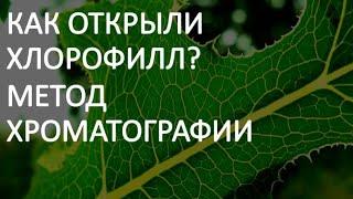 12. Как открыли хлорофилл? Метод хроматографии