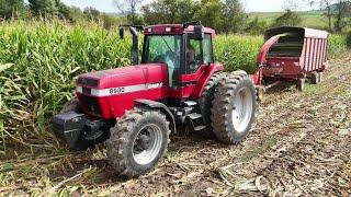 Chopping Corn Silage at Shady Oak Farms! Part One (2024 Harvest Season)