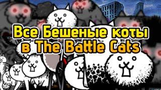 Все Бешеные коты в Battle Cats | Основная информация и то что нужно знать