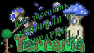 Как заселить трюфеля в террарии.