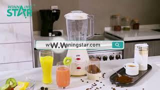 WINNING STAR Electric  Juicer Blender