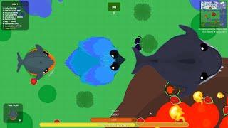 Roams.io/ORİON PHOENİX/LAVA WHALE/MEGALODON/RARE/BEST MOMENTS/