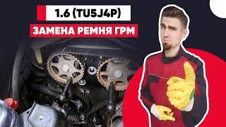 ЗАМЕНА РЕМНЯ ГРМ И ПОМПЫ tu5jp4. МЕТКИ РЕМНЯ ГРМ СИТРОЕН 1.6 (TU5) - CITROEN 1.6 (TU5)16v 80Kw