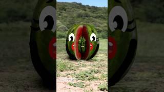 Goodland | The birth of a watermelon   #goodland #shorts #doodles #doodlesart