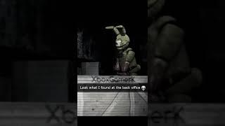 Back footage of Springbonnie (FNAF VHS animation)