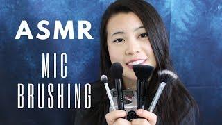 [ASMR]  ️ Art of Brushing  ️ | Brushing Your Ears Clean