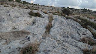 Malta's 'Cart-Ruts' - a New Theory