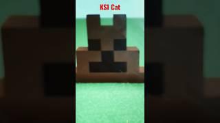 KSI Meet My Cat credit to @jjolatunji #shorts #fyp #jjolatunji #ksi #cat #youtuber