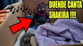 DUENDES REALES hacen TRAVESURAS en CASA 21 | Laguna Negra