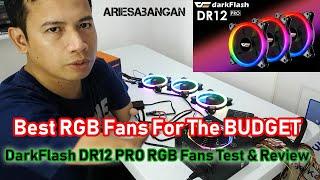 Best RGB Fans For The BUDGET | DarkFlash DR12 PRO RGB Fans Test & Review