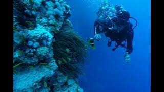 Egypt Scuba Diving - Red Sea - Dahab - GOPRO Hero 5 Black - HD 1080