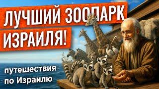 Библейский зоопарк в Иерусалиме: жирафы, тапиры и молящиеся обезьяны