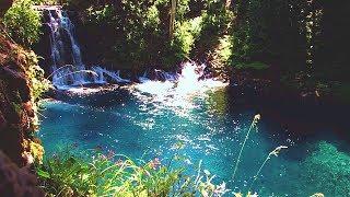 Virtual Hike:Tamolitch Falls (Blue Pool) Oregon, 4K, 1 Hour, Forest, River