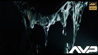 AVP: Alien vs. Predator (2004) We are rats in a maze Scene Movie Clip Upscale 4k HDR -