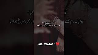 Dil ishqam novel|| revenge Wani based #extremlovefulromanticveryboldnovel #shortsvideo