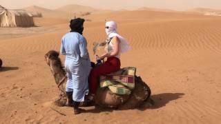 Camel standing up - Erg Chigaga Luxury Desert Camp Morocco