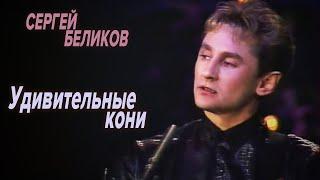 Сергей Беликов - Удивительные кони (HD)