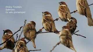 Dmitry Timofeev Sparrows for solo glockenspiel