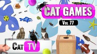 CAT Games | Ultimate Cat TV Compilation Vol 77 | 3 HOURS  