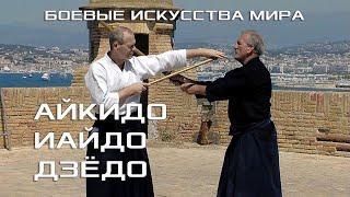 АЙКИДО, ИАЙДО, ДЗЁДО - ОБЩИЕ ПРИНЦИПЫ ЯПОНСКОГО БУДО. БОЕВЫЕ ИСКУССТВА МИРА.  ЛЕРИНСКИЕ ОСТРОВА