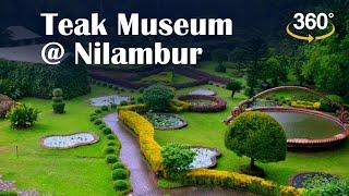 Learn all about Teak @ The Nilambur Teak Museum, Malappuram| 360° Video | Kerala Tourism