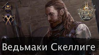 Ведьмаки Скеллиге (Ярость Отцеубийцы). Май 2021г. Гайд + бои. Патч 8.5