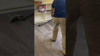  satisfying carpet cleaning in Memphis, Tn by RotoClean 