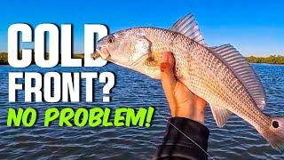 The #1 Spot to Catch Redfish This Winter (Proven Tips)