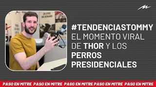 Las #TendenciasTommy Reynolds: el momento viral de Thor y los perros presidenciales