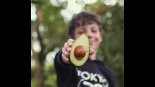 Meet Thomas the avocado grower's son