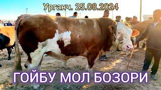 Урганч Гойбу мол бозори нархлари.25.08.2024.ALIXON в прямом эфире!