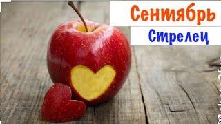 Стрелец _ Таро прогноз _ Отношения _ Сентябрь 2019