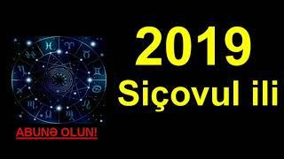 2019-cu ilde Sicovul iliinde dogulanlari ne gozleyir?