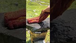 Why You Shouldn't Cook on a Wet Stone?#tech #technology #interesting #shorts