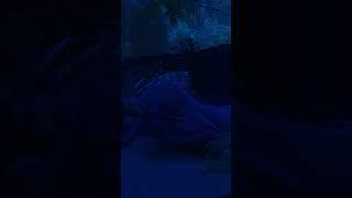 how i raided The CARTEL in ARK...