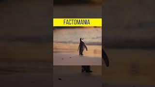 Amazing Facts about animals | factomania