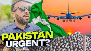 Unexpected Pakistan Visit  | Enjoyed My Dream Fruit – Jaman (Jamun) 