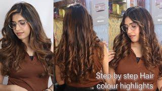 How to do global hair colour highlights 2023| My hair colour transformation | Shruti makeover