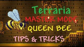 Terraria 1.4 Journey's End - How to defeat Master mode Queen Bee - Tips and Tricks