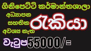 #New Job Vacancies in Sri Lanka - February 2025 | Part-Time & Full-Time Private Jobs sri lanka,