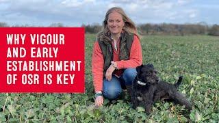 Why vigour and early establishment of oilseed rape is key | OSR Grower Emma Fletcher | Hinkley, UK