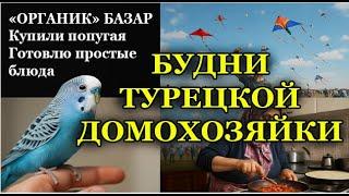БУДНИ ТУРЕЦКОЙ ДОМОХОЗЯЙКА: готовка, турецкий органик базар и попугай. Мероприятие от школы.