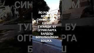 6 августа 2023 г.