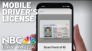 iPhone users can now add California driver's license to phone. Here's how