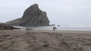 footage people running along the seashore / футаж люди бегут по берегу моря