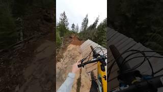 Funnest trail I’ve ever ridden?